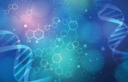 Effekt auf das Immunsystem
